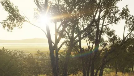 Miserable forza 5 vs isteni driveclub, madfanboy (driveclub) Nyomorult forza 5 vs isteni driveclub, madfanboy