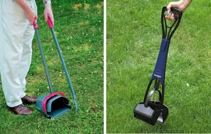 Megtisztítása után a kutyákat, a cikk (kutya) Megtisztítása után a kutyákat, a cikk