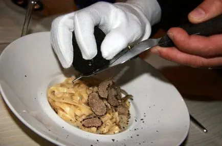A szarvasgomba gomba - leírás, típusú, hol és hogyan nőnek, keresés, fotó (k) A szarvasgomba gomba - leírás, típusú, hol és hogyan nőnek, keresés, fotók