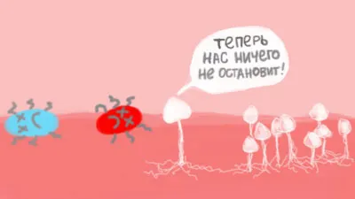 Az urogenitális chlamydiosis - mi ez