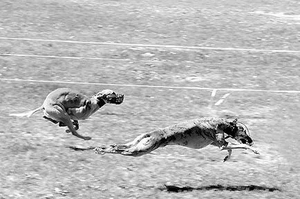 6. lecke fotók