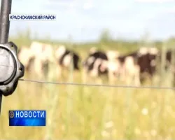 A Baskíria, a közszféra béreinek jelentős mértékben növekedni fog
