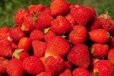 Epret termeszteni, mint egy üzleti, ingatlan