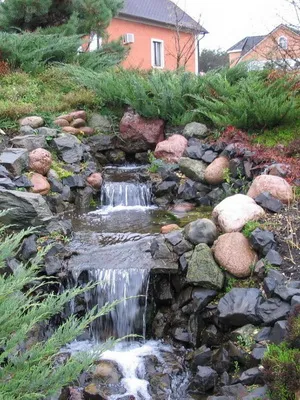Pond a kezét az ország és a videó egy mesterséges tó a kertben Pond a kezét az ország és a videó egy mesterséges tó a kertben