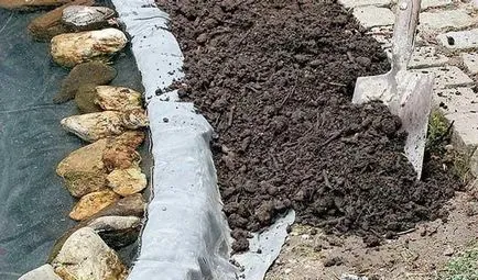 Pond a kezét az ország és a videó egy mesterséges tó a kertben (faház) Pond a kezét az ország és a videó egy mesterséges tó a kertben