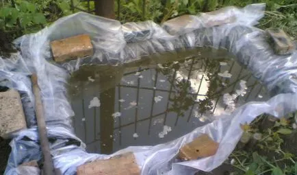 Pond a kezét az ország és a videó egy mesterséges tó a kertben (tó) Pond a kezét az ország és a videó egy mesterséges tó a kertben