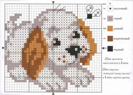 Keresztöltések kezdőknek lépésről lépésre video tutorials, hogyan kell tanulni, lépésről lépésre fotók,
