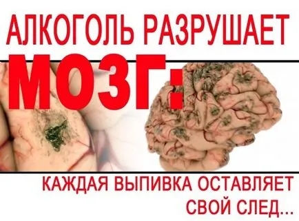 A hatás a társadalom véleményének egy személy (alkohol emberi test) A hatás a társadalom véleményének egy személy