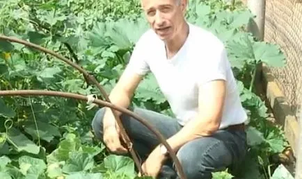 Minden videó viccek orvos-in-one