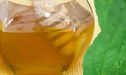 Mindenféle rendszerek kezelésére giardia a gyermekek és felnőttek, a kábítószerek és népi jogorvoslati