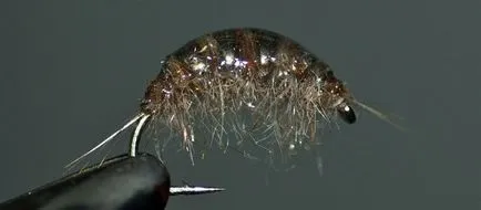Fly árukapcsolás anyagok és eszközök szükségesek, típusú csali (hogy egy kis kampó) Fly árukapcsolás anyagok és eszközök szükségesek, típusú csali