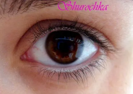 Minden Swatch szempillaspirál Dior, kiválasztja a legjobb értékelés (Diorshow Mascara Szempilla) Minden Swatch szempillaspirál Dior, kiválasztja a legjobb vélemény
