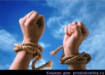 A telek a tartozások és a hitelezők, Invision Power Board (adósság) A telek a tartozások és a hitelezők SWZ Fórum