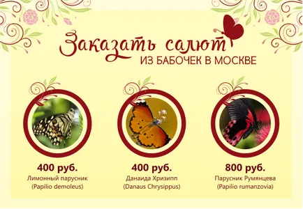 Élő trópusi lepkék otthon fogása és tenyésztési tartalmaznak, kezelésére, mint