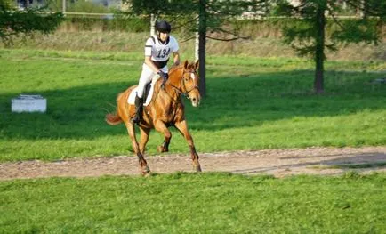 13 hely, ahol lehet lovagolni