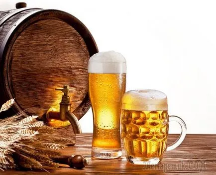 10 tipp és használata Beer és marad józan (vágás után hal) 10 tipp, hogyan kell hatékonyan használni a sör és a józan maradni