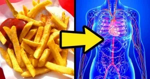 8 Korlátlanul ízletes szószokat shish kebab (olívaolaj só) 8 Végtelenül finom szószok shashlik