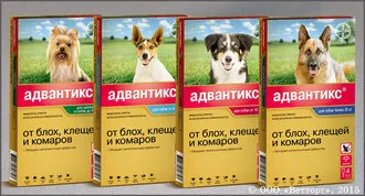 A legjobb eszközök 9 atkák