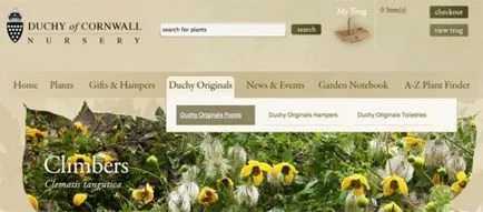 50 Példák a legördülő menük web design