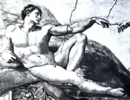 Adam - a