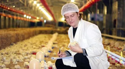 Elsősegélycsomag a csirkéket - a tartalmát, a használati utasítást (víz-víz csibék) Elsősegélycsomag a csirkéket - a tartalom, a használati utasítást