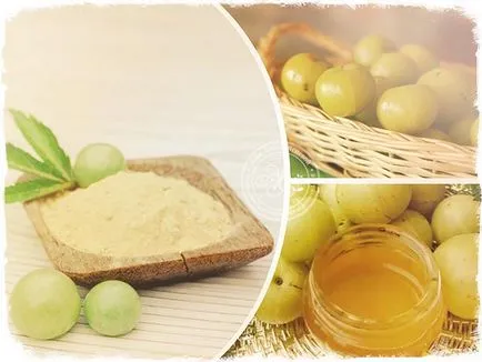 Amla Hair - hasznos svyostva és alkalmazások (folyamatok) Amla Hair - hasznos svyostva és alkalmazások