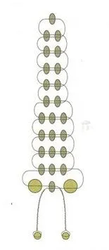Butterfly gyöngy mester osztály és szövik diagram (pillangó) Butterfly gyöngy műhely és a szövés rendszert