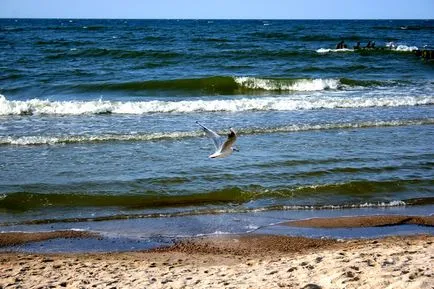 Belek, Törökország - nyaralás, időjárás, vélemények, fotók (a többi) Belek, Törökország - nyaralás, időjárás, vélemények, fotók