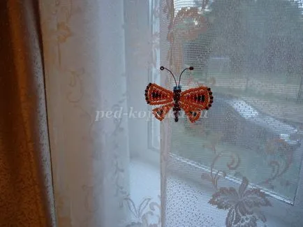 Butterfly gyöngy
