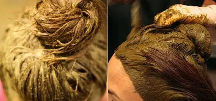 Henna haj, típusai és árnyalatai