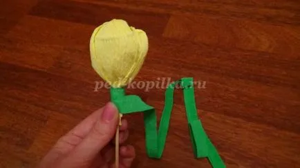 Tulipánok édességek kezével