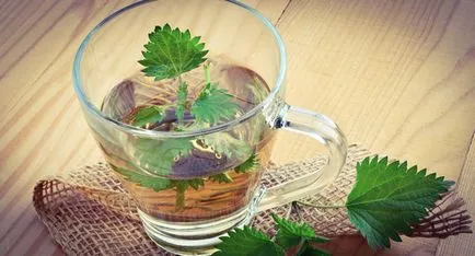 Tea Csalán előnyök és kárt az emberi test