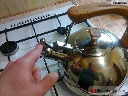 Tea Regent inox fütyülő 2, 5 l
