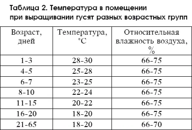 A takarmány és a nő, mint a kislibák az első nap az élet (nap) A takarmány és a nő, mint a kislibák az első nap az élet