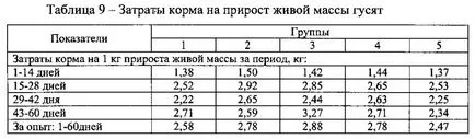 A takarmány és a nő, mint a kislibák az első nap az élet (kislibák) A takarmány és a nő, mint a kislibák az első nap az élet