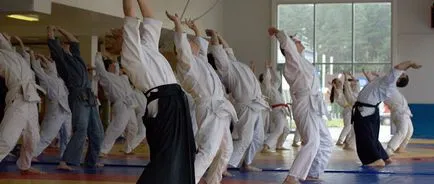 Hogy képzést nyújt a felnőtt aikido részén (az egyensúly) Hogy képzést nyújt felnőtt aikido részén