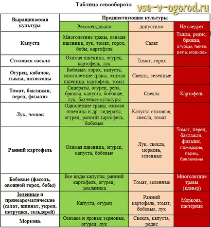 Hogy lehet ültetni a kertben, miután az uborka (uborka) Hogy lehet ültetni után uborka a kertben