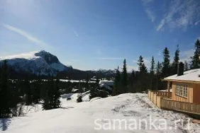 Mi SNT és DNP föld átirat