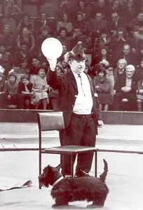 Circus kutya, hogy egy nő - csak!