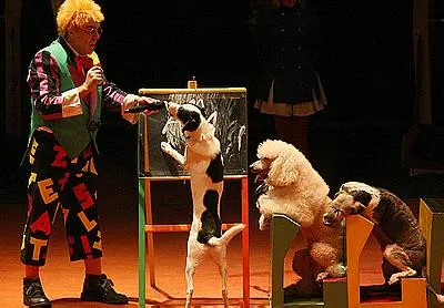 Circus kutya, hogy egy nő - csak!