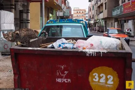 Hurghada nélkül Vengriyan (22 fotó) (érdekes) Hurghada nélkül Vengriyan (22 fotó)
