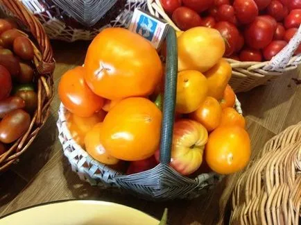 Apple szerelem „- ahogy a franciák mondják ... a termés 2016-ban, 3. fejezet