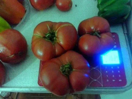 Apple szerelem „- ahogy a franciák mondják ... a termés 2016-ban, 3. fejezet