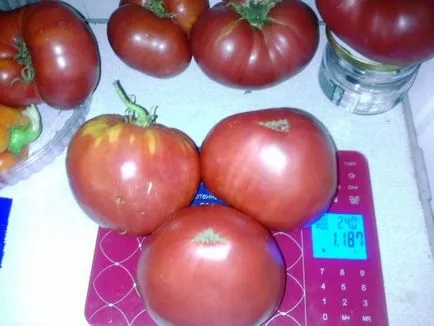 Apple szerelem „- ahogy a franciák mondják ... a termés 2016-ban, 3. fejezet