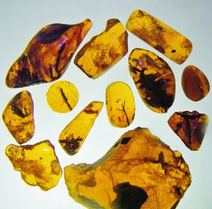Amber - egy
