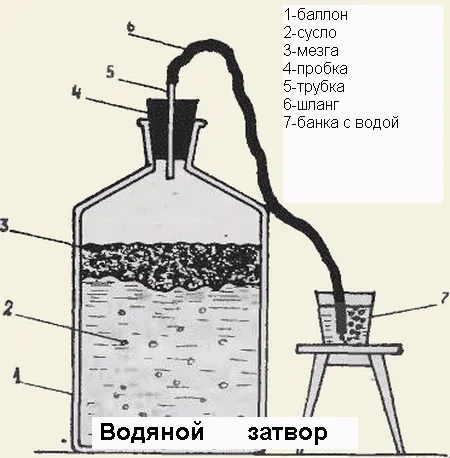 Apple bor otthon - főzés és recept