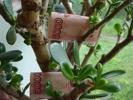 Adósság a bank
