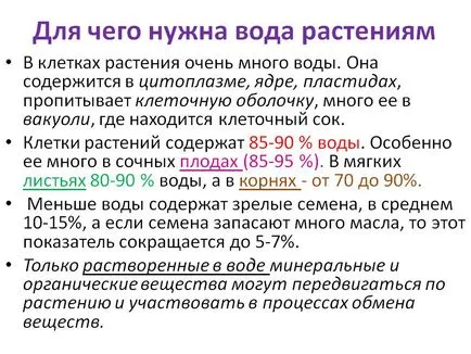 Miért van szükség a víz növények (kötelező) Miért van szükség a víz növények