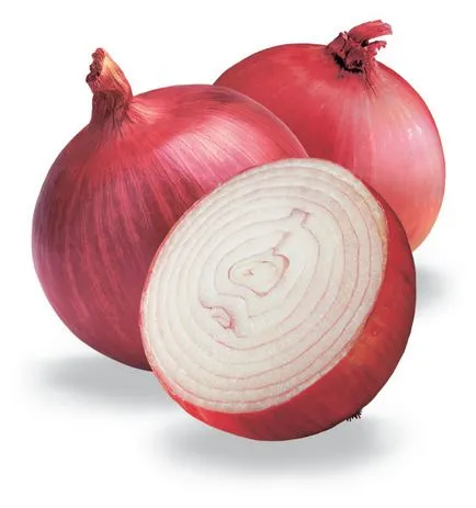 Háziállatok maszk hajhullás