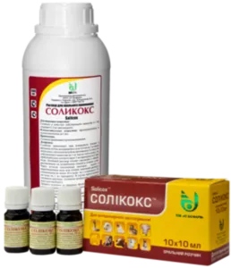 Főoldal Állatorvosi kit a broiler csirkék az első napon